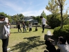IMG_9872 IMG_9872