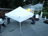 IMG_1196 IMG_1196