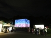 IMG_1591 IMG_1591