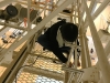 IMG_3086 IMG_3086