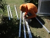 IMG_2089 IMG_2089