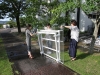 IMG_2152 IMG_2152