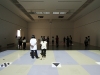 IMG_2442 IMG_2442
