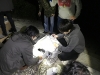 IMG_3476 IMG_3476