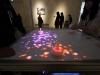 IMG_3649 IMG_3649