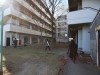 IMG_4260 IMG_4260