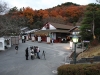 IMG_4401 IMG_4401