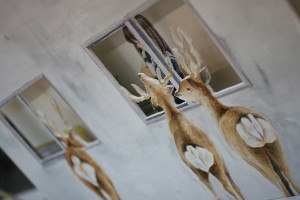 IMG_6046