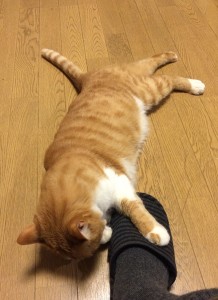 3.ウニ