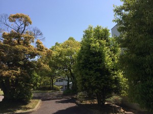 1)キャンパス