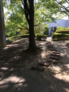 木漏れ日