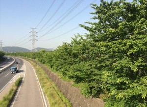 中央道桃花台バス停付近