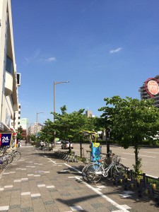 IMG_0747