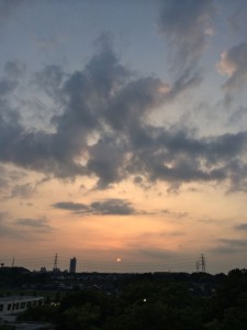 日没