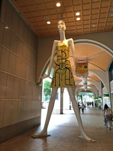 IMG_1240