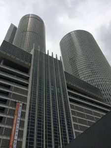 IMG_1241