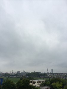 IMG_1737