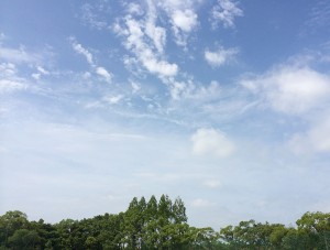 IMG_1779