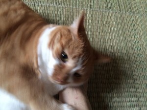 IMG_1957
