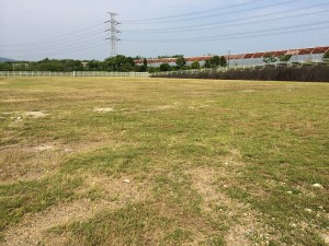 IMG_1978
