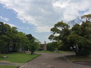 IMG_2081