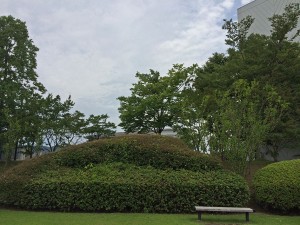 IMG_2082