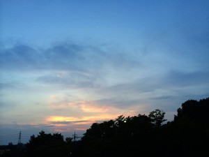IMG_2174