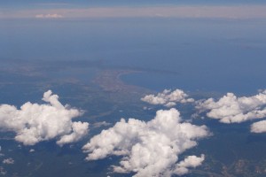 _0029495