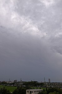 _0029542