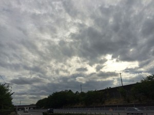 IMG_2329