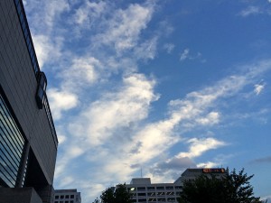 IMG_2369