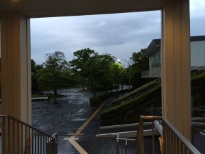 IMG_2444