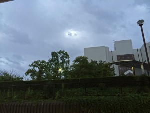 IMG_2445