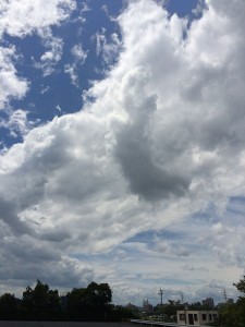 IMG_2449