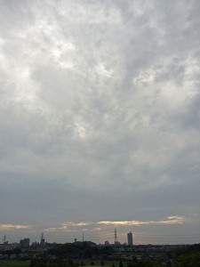IMG_2477