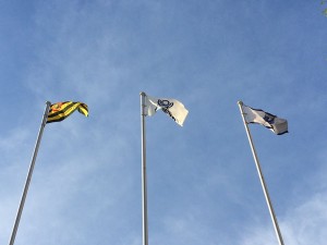IMG_2511