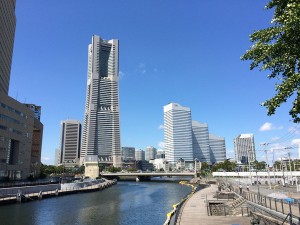 IMG_2613