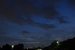 _0029660