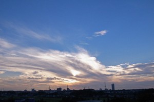 _0029674