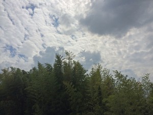 IMG_2760