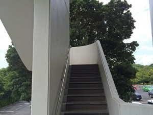 IMG_2763