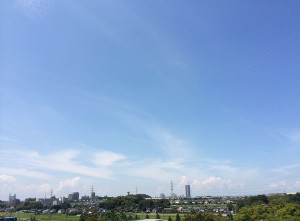 IMG_2767