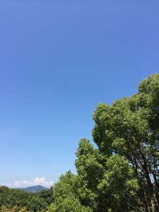 IMG_2768