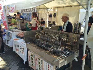 IMG_2861