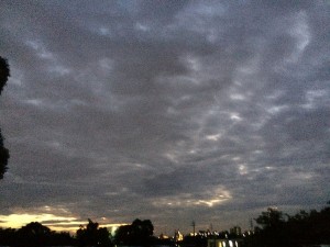 IMG_3069b