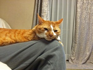 IMG_3251