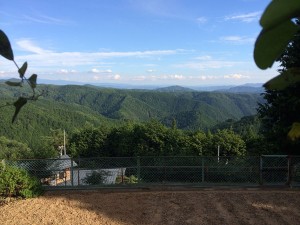 IMG_3290