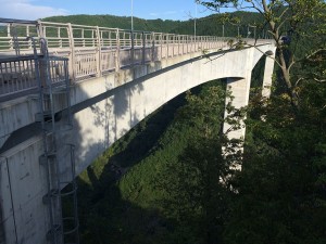IMG_3297