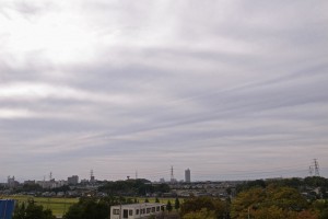 _0029778