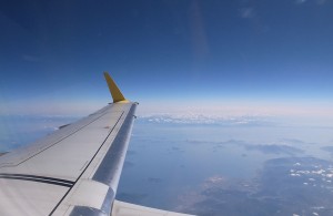 _0029998
